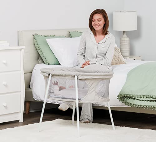 Regalo Baby Basics Infant Bassinet, Gray, Portable and Collapsible, includes Padded Insert