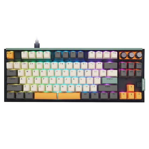 SKYLOONG GK87 V3 TKL Wireless Mechanical Keyboard - Nordic 2.4G/Bluetooth 5.1/USB Wired - Double Spacebar - 3Knobs - Gateron G Pro Switch-RGB Backlit Hot Swappable - Ti-Grey PBT Keycaps