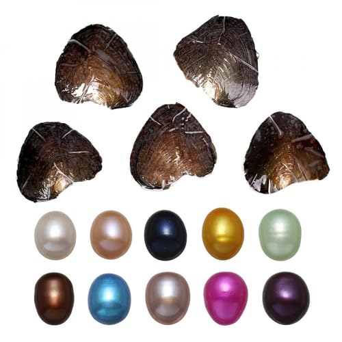 Silvertree Freshwater Cultured Pearls, Natural Oysters with Pearls Inside Round Pearls, Anniversary Decoration for Jewelry Making Gifts (Mixed Colors 9-9.5mm)