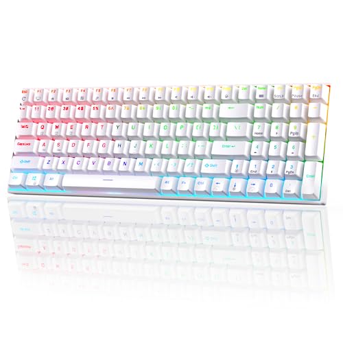 RK ROYAL KLUDGE RK100 2.4G Wireless/Bluetooth/Wired RGB Mechanical Keyboard, 100 Keys 3 Modes Connectable Hot Swappable Brown Switch Gaming Keyboard for Win/Mac