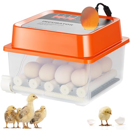 VEVOR 12 Egg Incubator, Incubators for Hatching Eggs, 360° Automatic Egg Turner with with Temperature and Humidity Display, 12 Eggs Poultry Hatcher with ABS Transparent Shell for Chicken, Duck, Quail