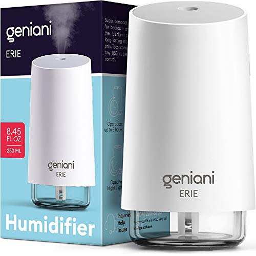 GENIANI Portable Small Cool Mist Humidifiers 250ML - USB Desktop Humidifier for Plants, Office, Car, Baby Room with Auto Shut Off & Night Light - Quiet Mini Humidifier (White)