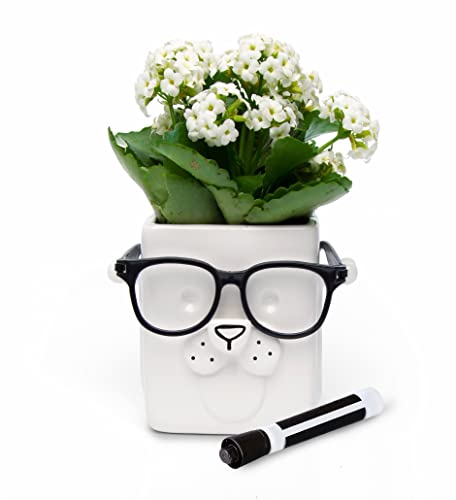 30 Watt | Puppy Planter | Novelty Planter Pot Holds Plants, Glasses & You Can Draw On It. Elegant Ceramic Vase for Succulents, Cacti or Your Average Fern, Perfect Gifting Idea