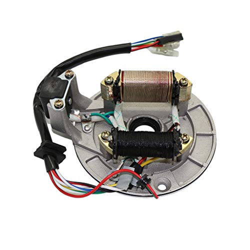 CNCMOTOK 2 Coil Ignition Magneto Stator Plate for 50cc 70cc 90cc 110cc 125cc Taotao Kazuma SSR Baja ATV Quad Dirt Kick Bike 4 Wheeler