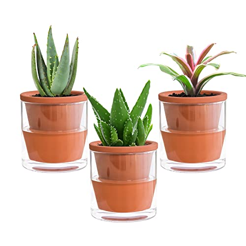 D'vine Dev 4 Inch Design Self Watering Pot for Indoor Plants, Terracotta Planter with Cylinder Glass Cup, Set of 3, 372-A-3