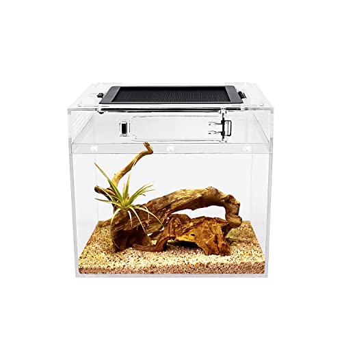 Reptile Growth Mini Reptile Terrarium,8' x 8'x 8' Reptile Tank with Full View Visually Appealing，for Insect，Fish，Tarantula，Hermit Crab，Jumping Spider，Iguana，Tortoise，Leopard Gecko，Frog，Bearded Dragon