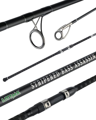 LITTMA Surf Rods Surf Spinning Rod Surf Rods Saltwater 12ft 9ft 10ft 11ft Graphite Surf Rod Surf Casting Rod Surf Fishing Rod Surf Rod Saltwater Surf Travel Rod Surf Rod Barra de Surf Surf Rod