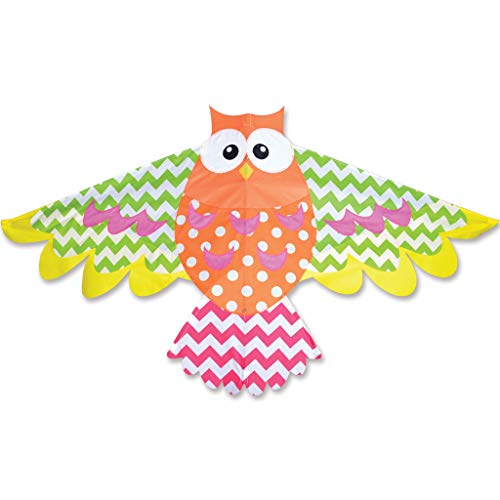 Premier Kites Rainbow Owl Bird Kite are Great Kites for Adults and Easy to Fly Kites for Kids | A Large Kite with a 70 Inch Wingspan and a 36 Inch Body with Bold Colors and Detailed Applique Work