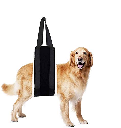 HNYG 30-120 lbs Large Dog Sling for Rear Legs Helps Elderly Dogs with Reduced Mobility, Dog Support K9 Dog Lift Harness, Dog Lifter for Arthritis ACL Rehabilitation Rehab, 7' x 51'