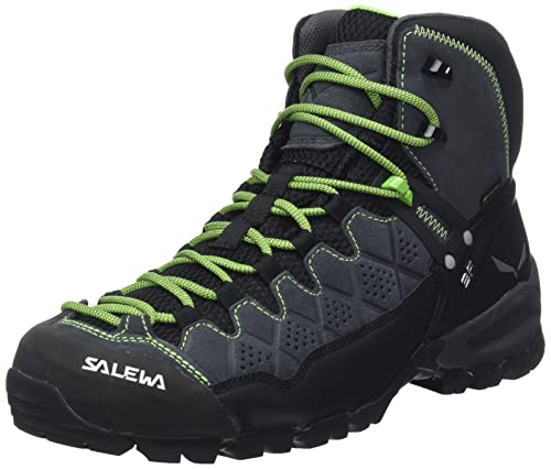 Salewa Men's MS ALP Trainer MID GTX Walking Shoe, Onyx Pale Frog, 11