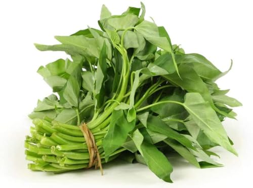 Dichmag 450 Kong Xin CAI Seeds - 21+ Grams Green Leaf Vegetable Seeds for Planting Garden - Non-GMO Choy Ong Seeds & 100% Produced in 450 seeds