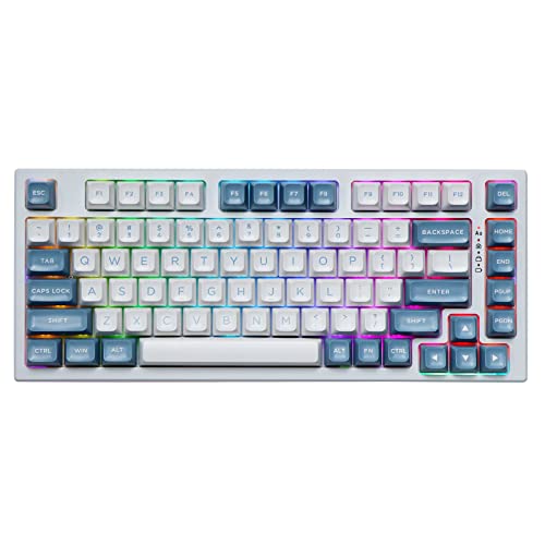 EPOMAKER EP75 75% Mechanical Keyboard, Hot Swap BT5.0/2.4G/USB-C Wired Gaming Keyboard, with 10000mAh Battery, RGB Backlights, Double Shot PBT Keycaps for Linux/Win/Mac(Pampas, Budgerigar Switch)