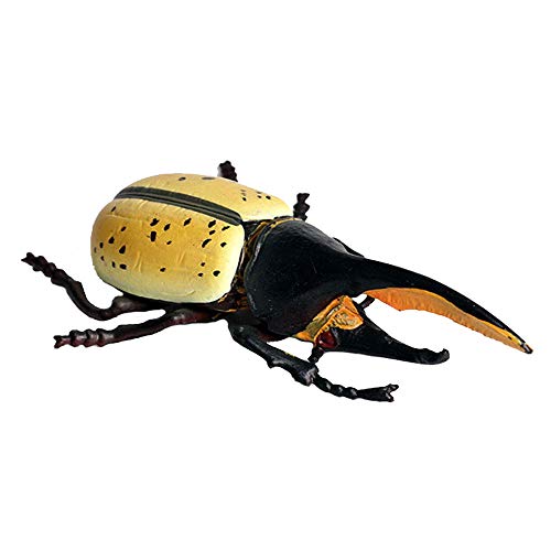 FLORMOON Realistic Animal Figures Hercules Beetle Figurines Insect Toy, Science Project, Cake Topper, Early Educational Toys Birthday for Toddlers Kids Age 3 4 5