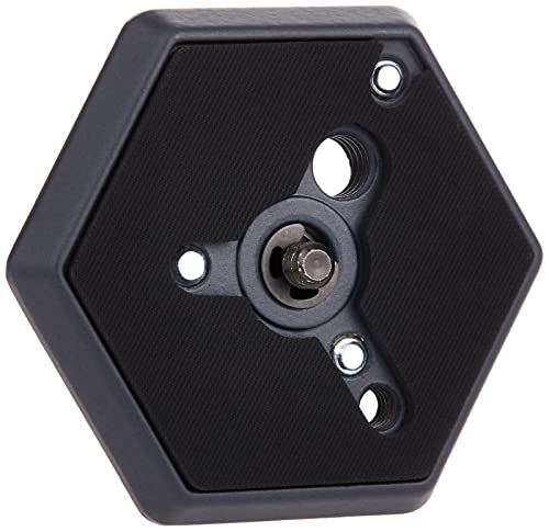 Manfrotto 130- 14 Hexagonal Quick Release Mounting Plate 1/4- 20-Inch Thread with Flush Mounting Screw