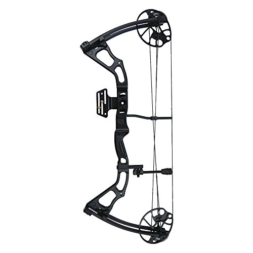 iGlow 15-70 lbs Black Archery Hunting Compound Bow 175 150 60 55 30 lb Crossbow