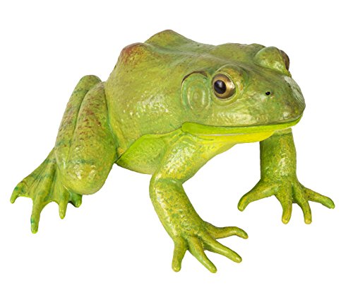 Safari Ltd. American Bullfrog Figurine - Realistic 4.75' Model Figure - Educational Toy for Boys, Girls, and Kids Ages 18M+