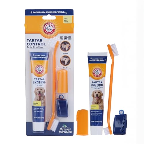 Arm & Hammer for Pets Tartar Control Kit for Dogs | Contains Toothpaste, Toothbrush & Fingerbrush | Reduces Plaque & Tartar Buildup, 3-Piece Kit, Banana Mint Flavor