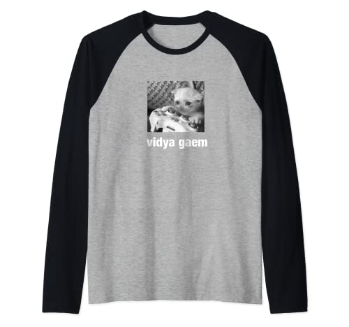 Cursed Cat Funny Vidya Gaem Raglan Baseball Tee