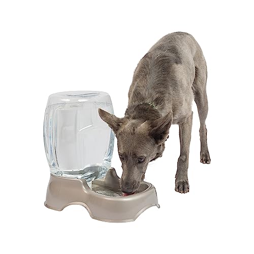Petmate Pet Cafe Waterer Cat and Dog Water Dispenser 1.5 gallon
