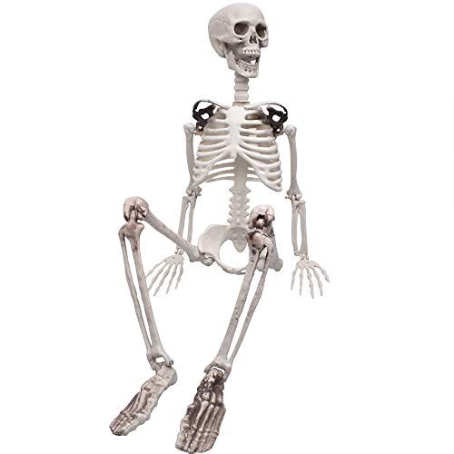 XONOR 3ft/90cm Halloween Full Body Skeleton Props Realistic Human Bones with Movable Joints for Halloween Party Decoration (Old Bone Color)
