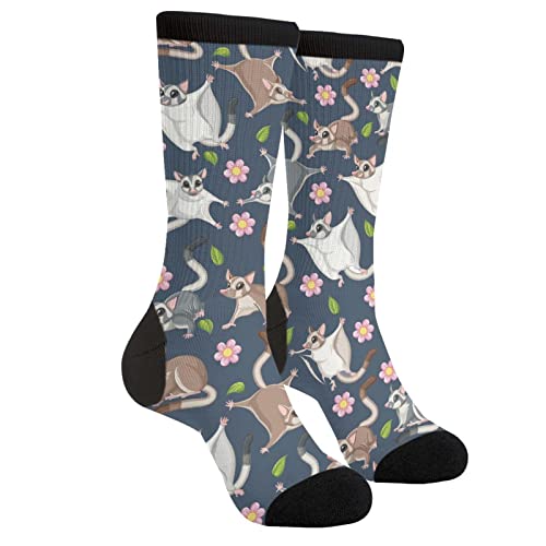 Cute Sugar Glider Flying Sugar Gliders Animal Casual Funny Funky Novelty Socks For Men Women