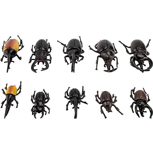 Bbiamsleep 10pcs Beetle Figurine Realistic Beetles Figure Models Garden Animal Simulated Beetle Figures