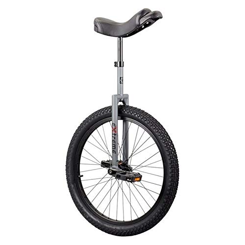 Sun Unicycle, 24In Extreme, Grey