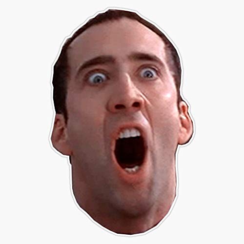 Nicolas Cage Vinyl Waterproof Sticker Decal Car Laptop Wall Window Bumper Sticker 5'