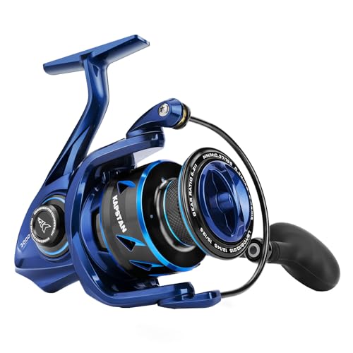 KastKing Kapstan Spinning Saltwater Reel,Size 3000
