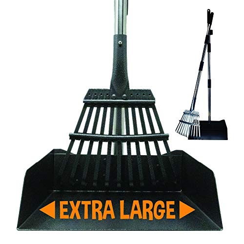 Bodhi Dog Metal Long Handle Tray and Rake Pooper Scooper | Suitable for Small, Medium, Large, XL Pets - Great for Grass, Street and Gravel