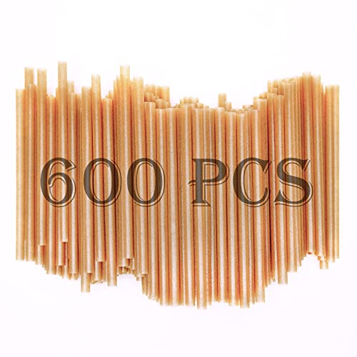 5 Inch 600pcs Biodegradable Cocktail Straws Made from Sugarcane Fiber A Eco- Friendly CompostableSturdy Drinking Straws for Hot and Cold Drinks Not FoggyPacked by 200 Count per box(3 packs)