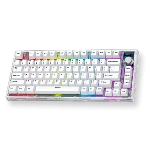 FANTECH MAXFIT81 Wireless Mechanical Keyboard PBT Keycaps RGB 75% Gaming Keyboard with Customizable OLED Display & Knob, Hot Swappable Modular Sound Proofing Base, Gateron Yellow Switch, White