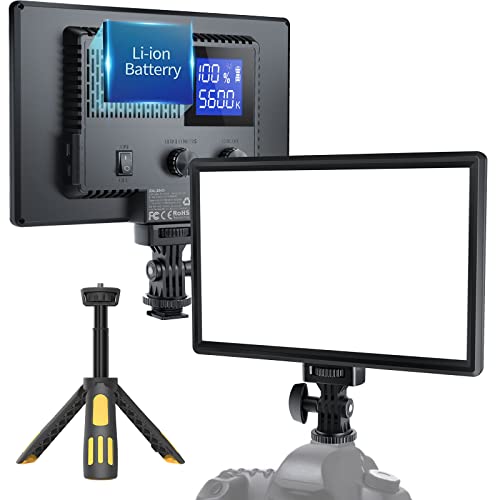 RALENO LED Video Light, Camera Light for Pictures Video Recording with 4000mAh Battery Support Type-C USB Power Supply, CRI95 3200K-5600K Photo Light for Outdoor Photography Live Streaming Zoom Calls