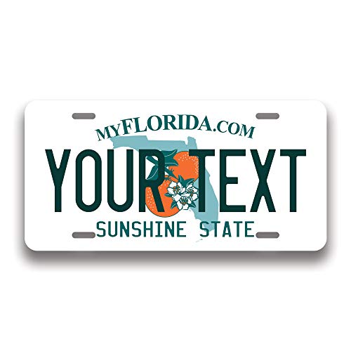 Generic 50 State License Plate Generic Florida Fake License Plate for Front of Car Personalized Generic Car Tags Choose from All 50 States 6 x 12 Inch Crafted in USA