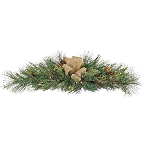 National Tree Company HGTBX63-30036MB Decorative Artificial Swag, Green