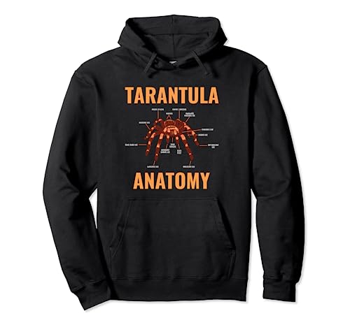 Tarantula Spider Anatomy Funny Spider Arachnid Structure Pullover Hoodie