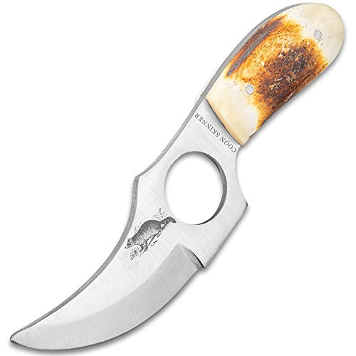 Coon Skinner Knife with Finger Grip and Leather Belt Sheath - AUS-6 Stainless Steel Blade, Finger Ring, Full-Tang, Genuine Bone Handle Scales, Great For Cutting Jobs When Hunting - Length 5 7/8'