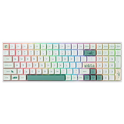 BOYI TK96 90% RGB Hot Swappable Triple Mode Keyboard,2.4Ghz/BT 5.0/Wired Keyboard N-Key Rollover Compact Gateron Yellow Switch Mechanical Gaming Keyboard(Zoological&Botanical Gardens XDA Keycaps)
