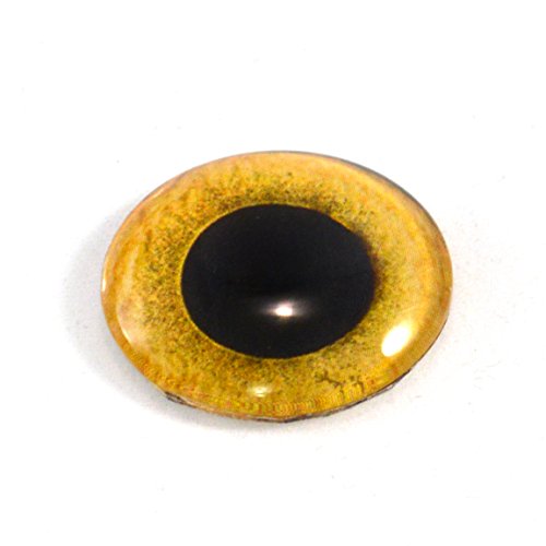 Yellow Owl Eye in 25mm 1 Inch for Taxidermy Sculptures or Jewelry Making Pendants Crafts Art Doll Wire Wrapping DIY Flatback Cabochon