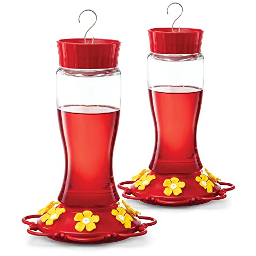 Hummingbird Feeder 30 oz [Set of 2] Glass Hummingbird Feeders for Outdoors - with Built-in Ant Guard - Circular Perch with 7 Feeding Ports - Wide Mouth for Easy Filling/2 Part Base for Easy Cleaning