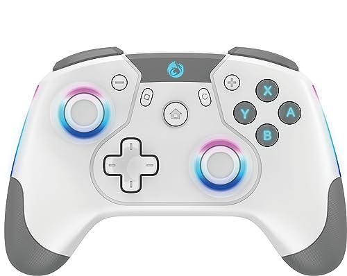 RGEEK Switch Controller