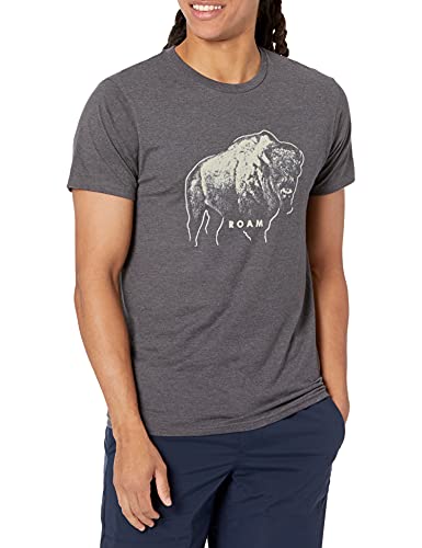 Hanes Men’s Short Sleeve Graphic T-shirt Collection
