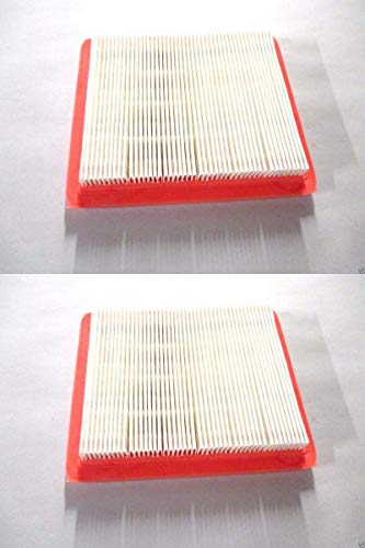 2 Pack Genuine Honda 17211-Z8B-901 Air Filter Fits GCV160LAO GCV190LA HRR216K9