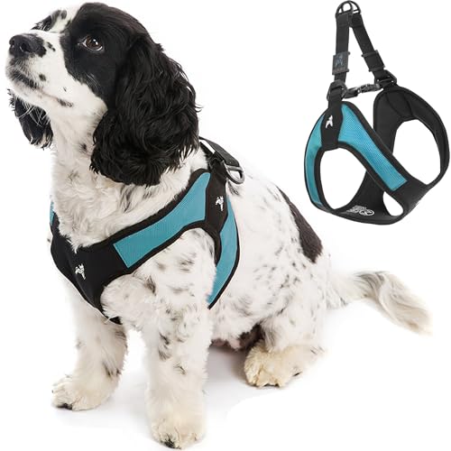 Gooby Turquoise X-Small Easy Fit Harness - No Pull Patented Design for Small Dogs with Quick Release Buckle