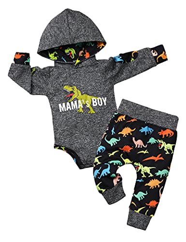 Fommy Baby Boy Clothes 0-3 Months Dinosaur clothes for baby boy clothes Hoodies + Pants Outfit Winter 2Pcs Set gifts