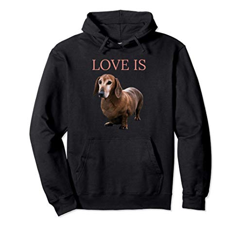 Dachshund Shirt Dog Mom Dad Men Women Kids Gift Doxie Tshirt Pullover Hoodie
