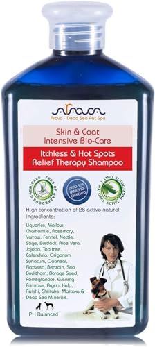 Arava Natural Medicated Dog Shampoo – Anti Yeast Anti Itch Dog Shampoo - Healthy Skin & Coat - First Aid in Hot Spots Ringworm Scrapes Abrasions & Dermatologic Infections - 400ml / 13.5 fl oz