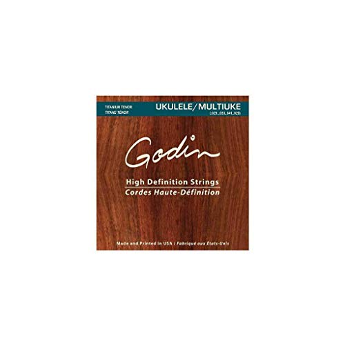 Godin Acoustic Guitar Strings (38909)