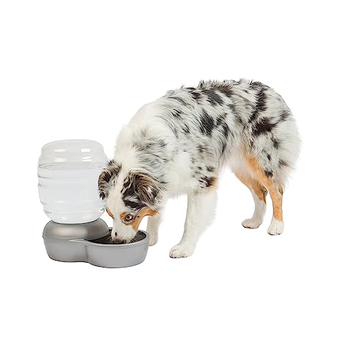 Petmate Replendish Automatic Gravity Waterer for Cats and Dogs, BPA-Free, No Batteries Required, Includes Charcoal Filter, 2.5 Gallons, Made in USA,Silver