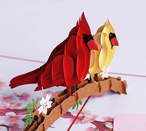 PQDGlobal 3D Popup Card of Cardinal Bird Couple, Paper Art & Handicraft, Greeting Card, Birthday, Anniversary, Christmas, Mothers Day, Fathers Day Card, Handmade Gift For Mom, Dad, Wife, Husband